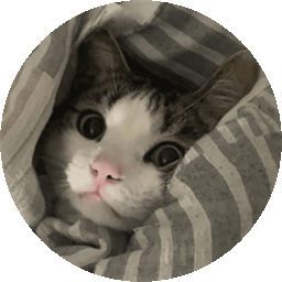 Melo — the cat the project is named after